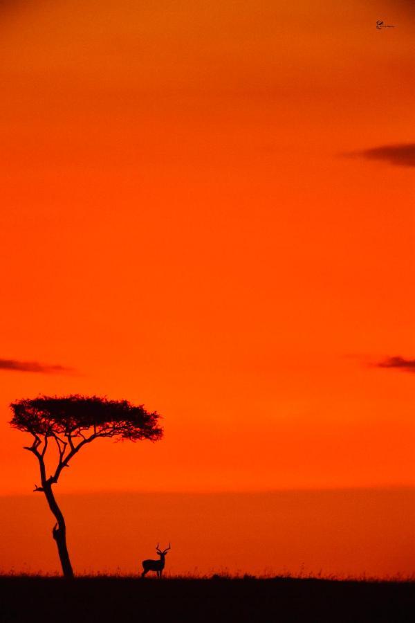 Lorian Safari Camp Limited Hotel Narok Exterior photo